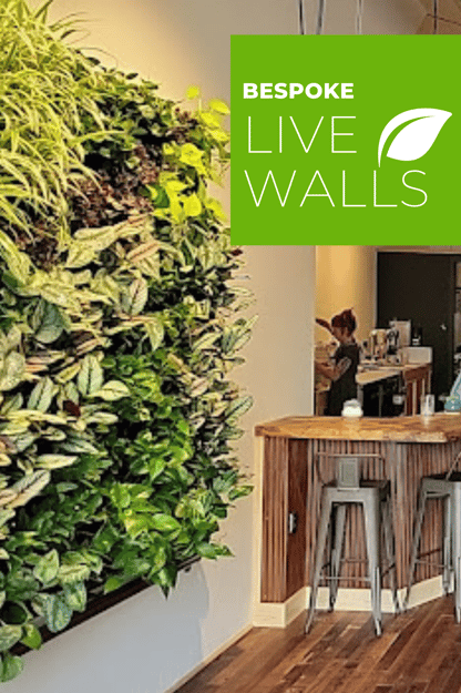 Industry Leading Design and Installation For Green Walls