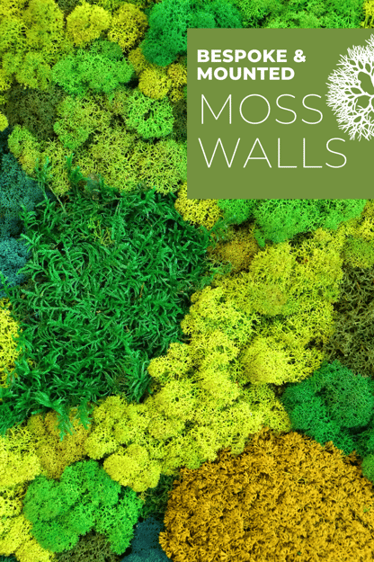 Industry Leading Design and Installation For Green Walls
